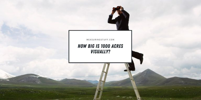 How Big Is 1000 Acres Visually? (With Examples)