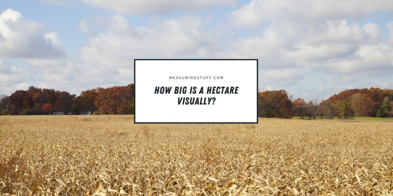 How Big Is A Hectare Visually?