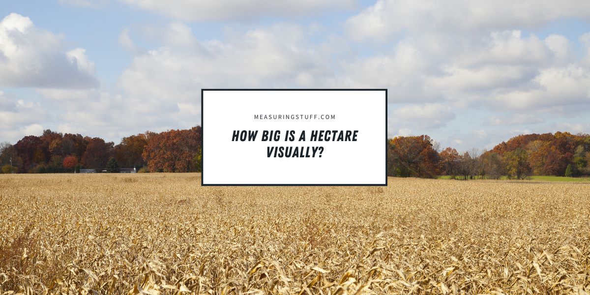 How Big Is A Hectare Visually?