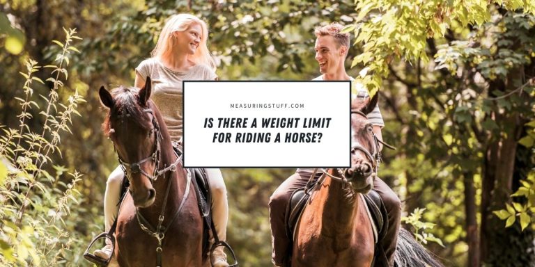Is There A Weight Limit For Riding A Horse?