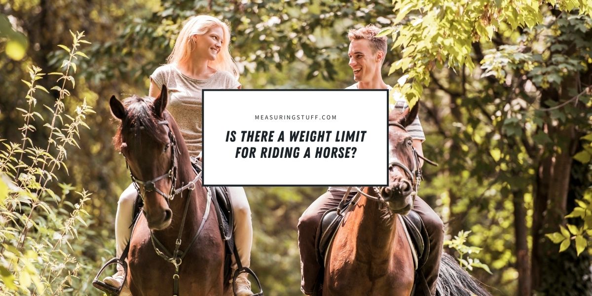 Is There A Weight Limit For Riding A Horse?