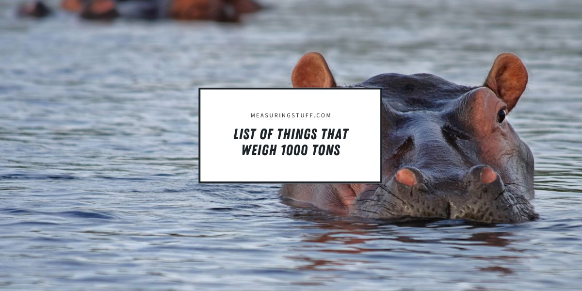 List Of Things That Weigh 1000 Tons