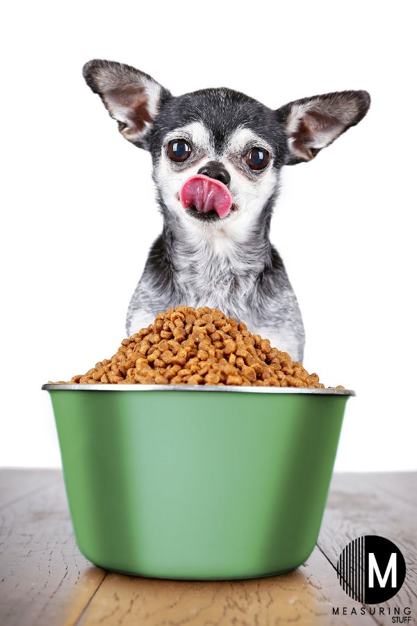 small dog with a large bowl of dog food