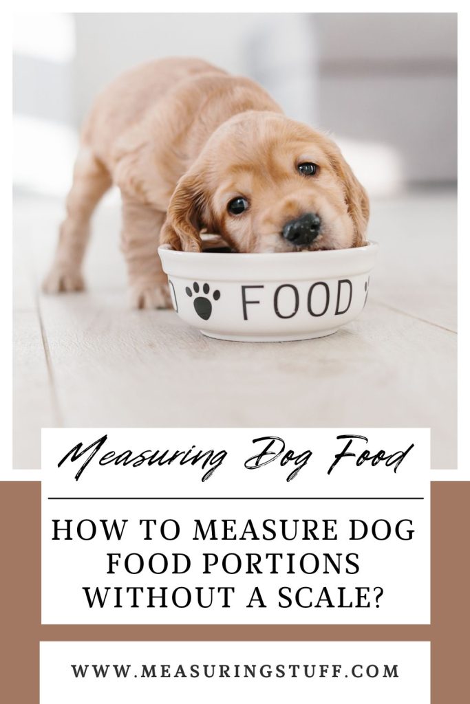 How To Measure Dog Food Portions Without A Scale?