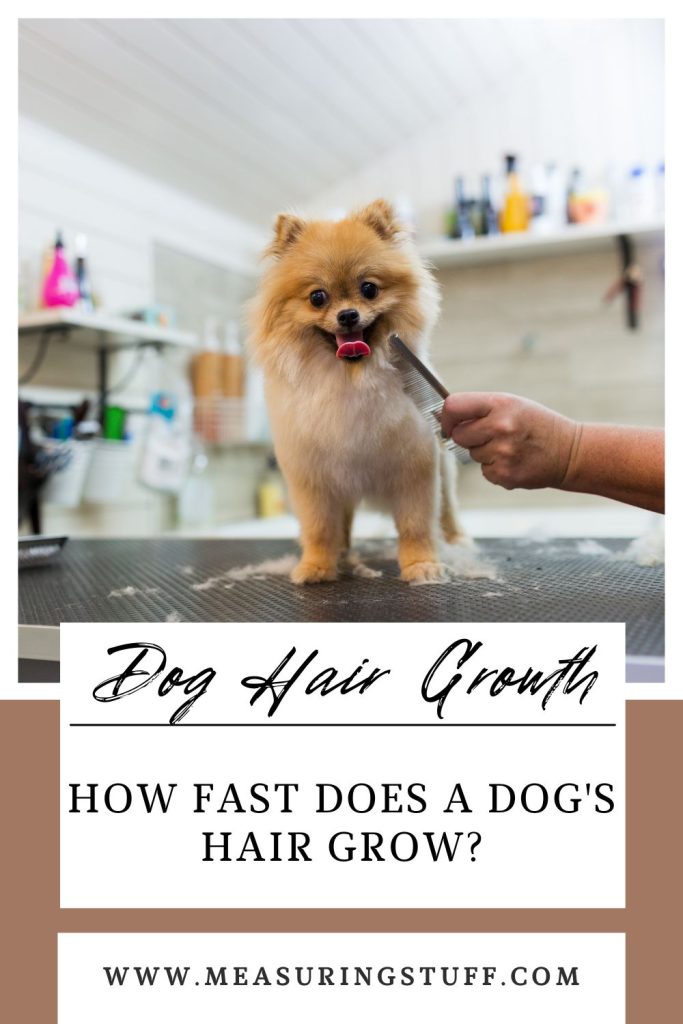 How Fast Does A Dog's Hair Grow?