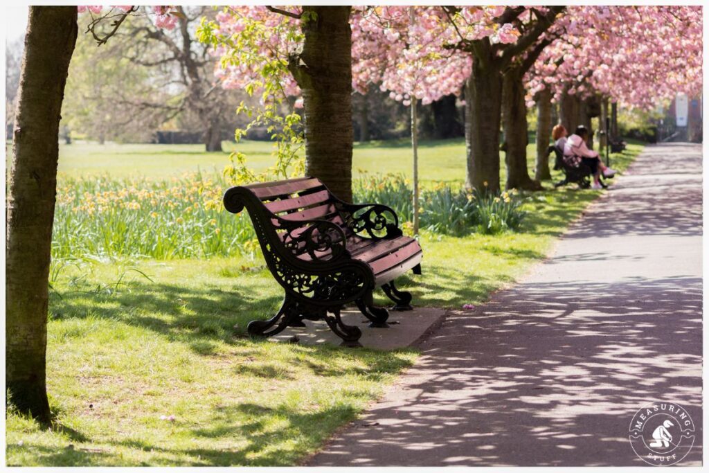 park bench in a park