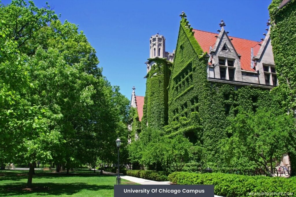 university of chicago campus