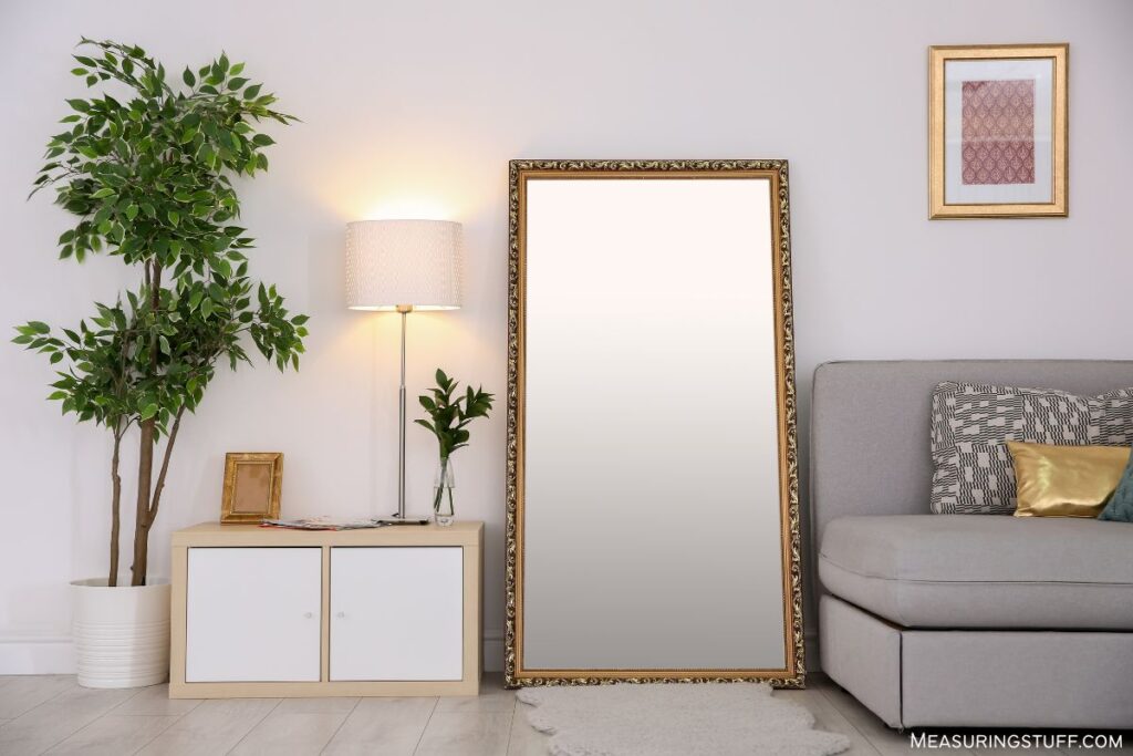 full size stand up mirror in apartment
