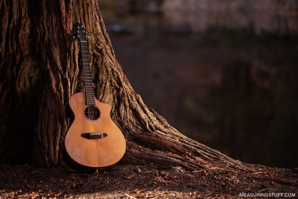 acoustic guitar leaning on a tree