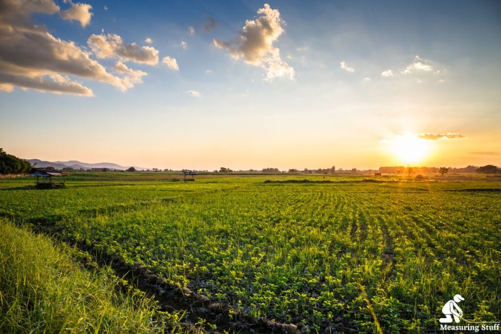 large open farm with a sunset
