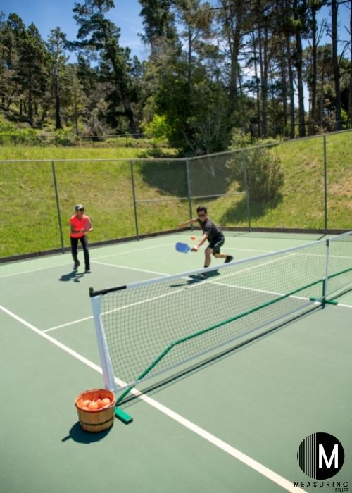 pickleball players on one side of net
